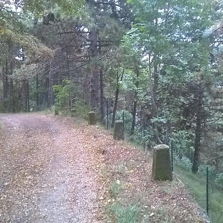 Gardablick شقة تينيالي