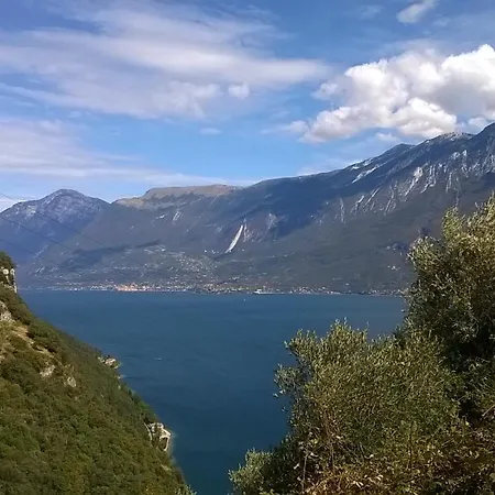 Gardablick * تينيالي