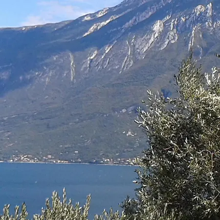 Gardablick * ティニャーレ