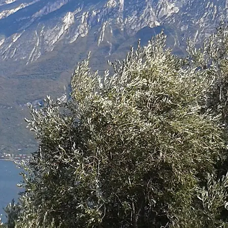 Gardablick Apartamento Tignale