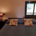 Gardablick 提尼亚类